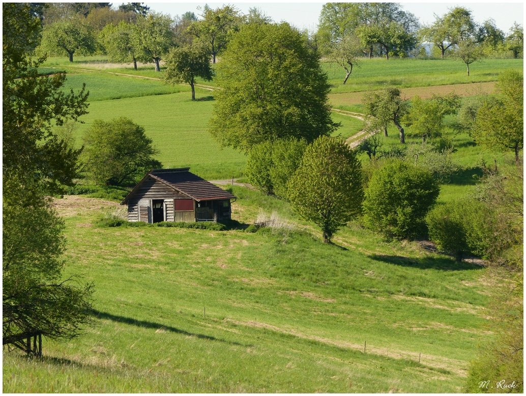 Eine Landschaft wie ich sie mag !