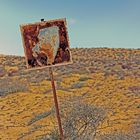 Eine Landschaft wie in Arizona 2