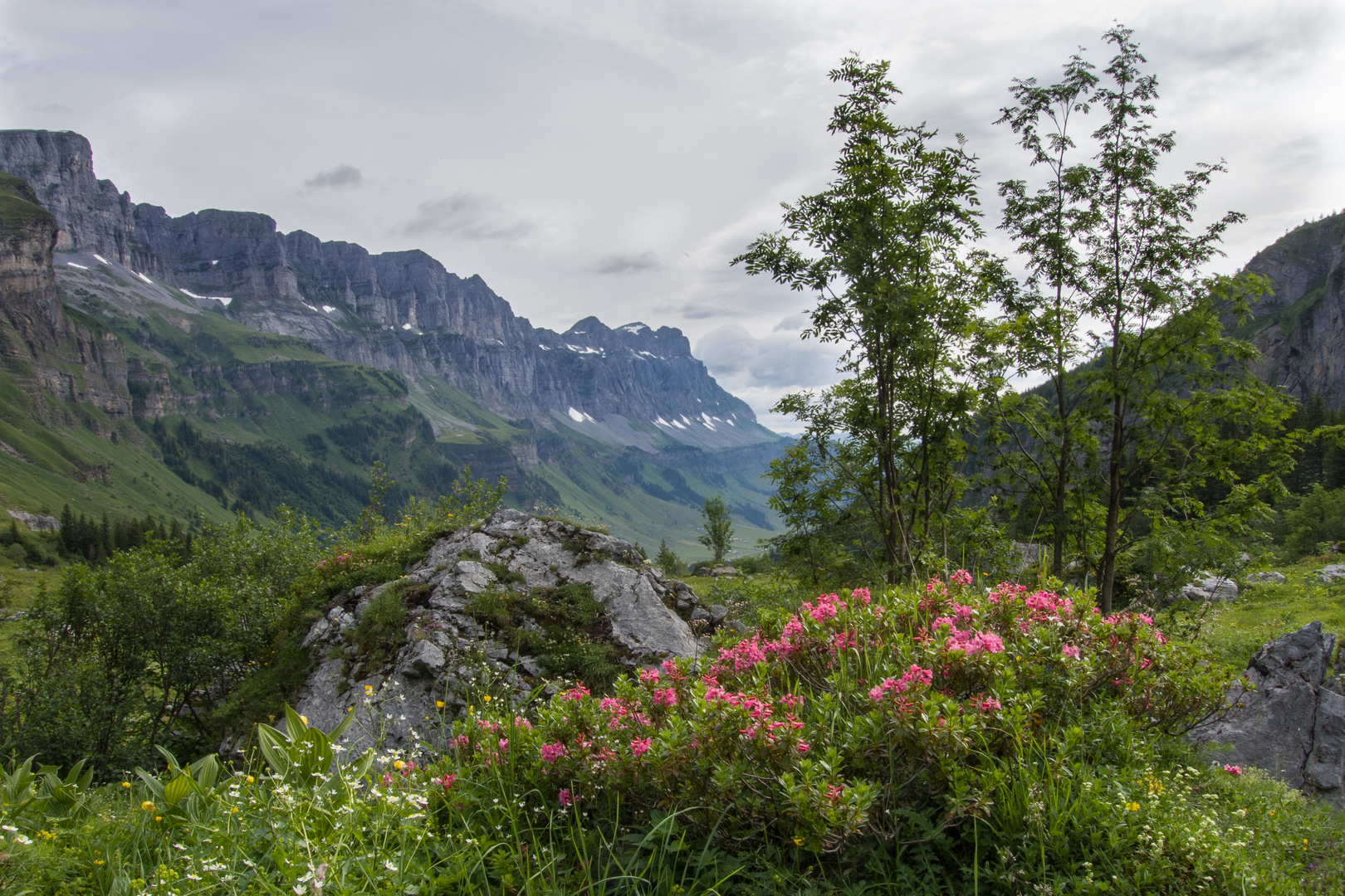 Eine Landschaft zum Verlieben!