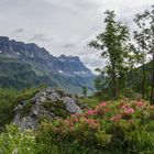 Eine Landschaft zum Verlieben!