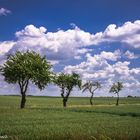 Eine Landstraße ?