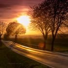 Eine Landstraße in der untergehenden Sonne.