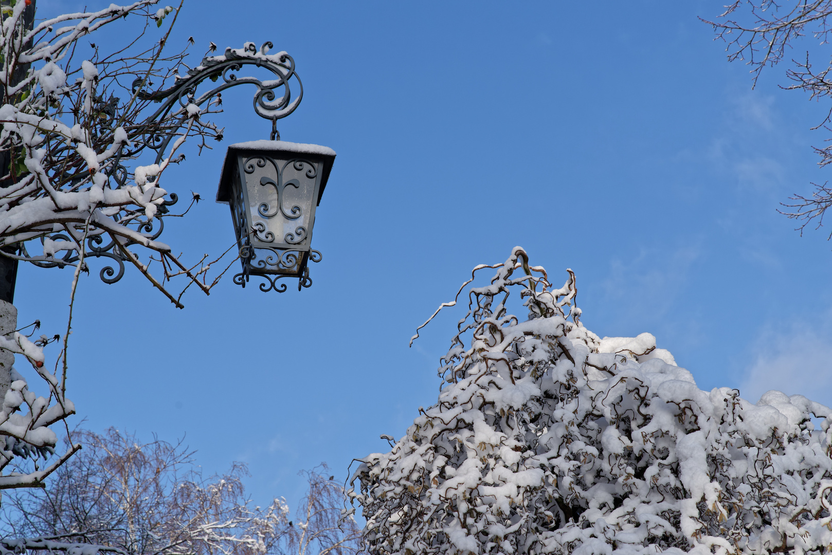 Eine Laterne im Winterwunderland