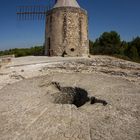 Eine Legende... Moulin Alphonse Daudet