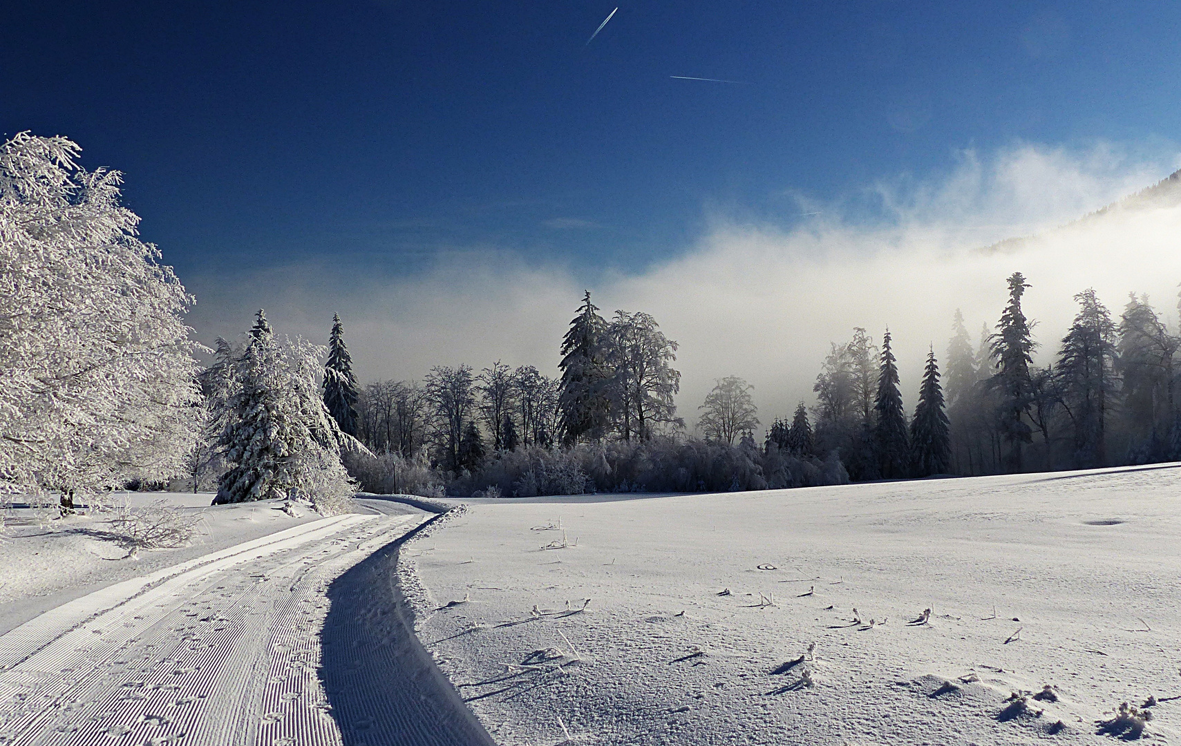 Eine letzte Winterimpression