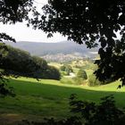 Eine Lichtung im Odenwald die II