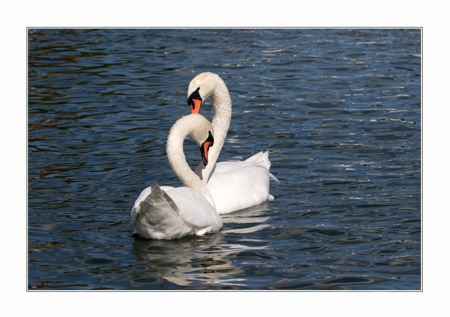 Eine Liebe im Herbst