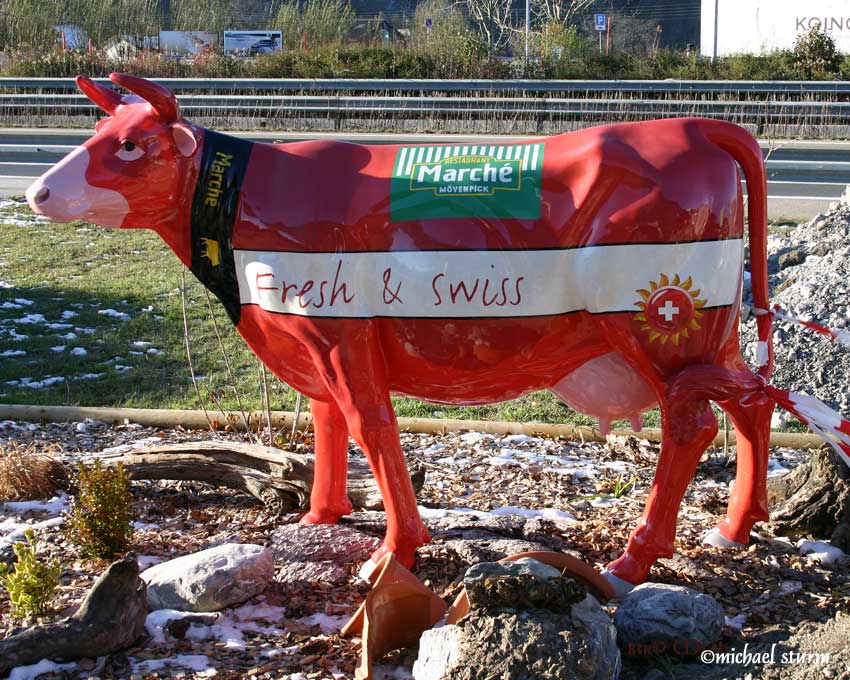eine lila Kuh - oder - doch eine rote ?