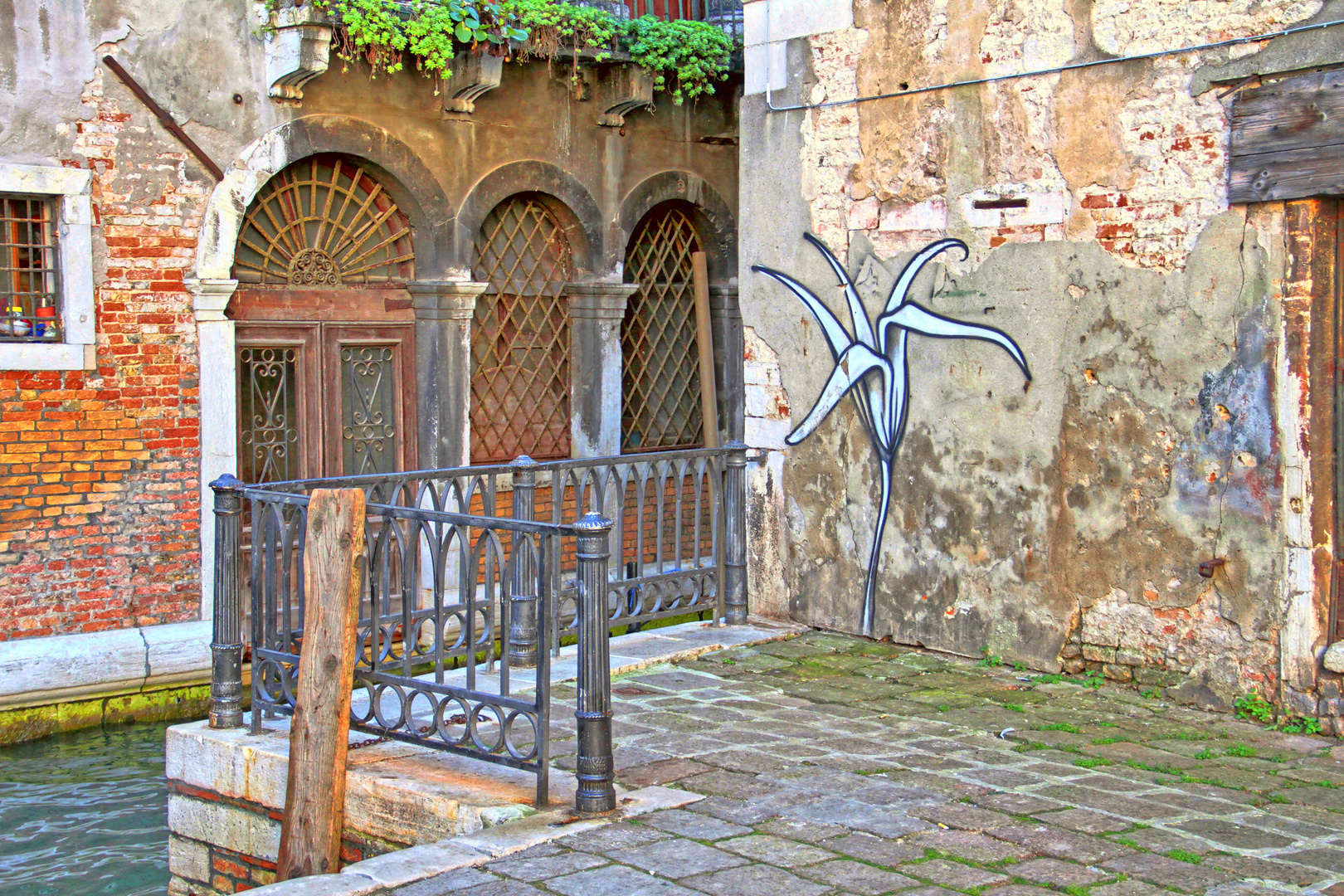 eine Lilie in Venedig 