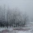 Eine märchenhafte Stille im Nebel