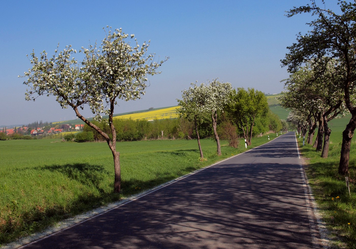 Eine meiner Lieblingsstraßen