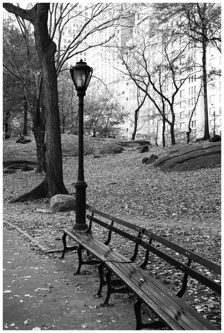 Eine Menge Laternen im Central Park..