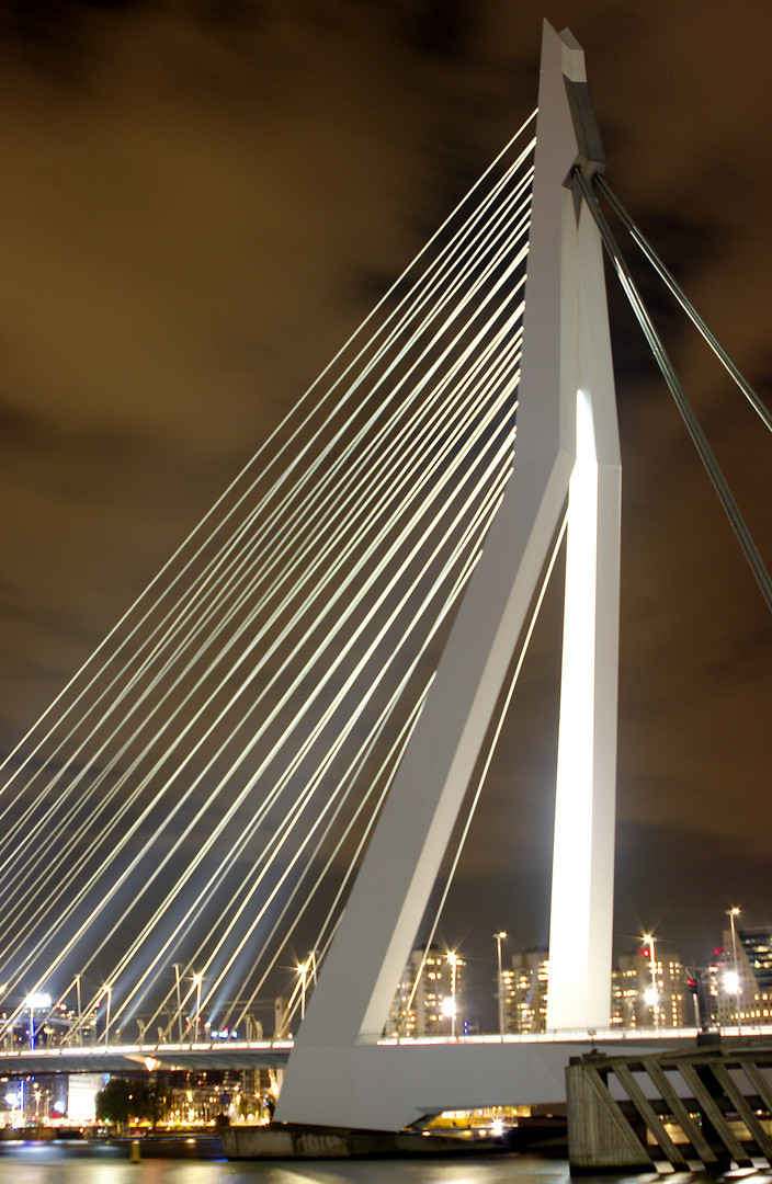 Eine moderne wie beeindrückende Brücke: die Erasmusbrücke