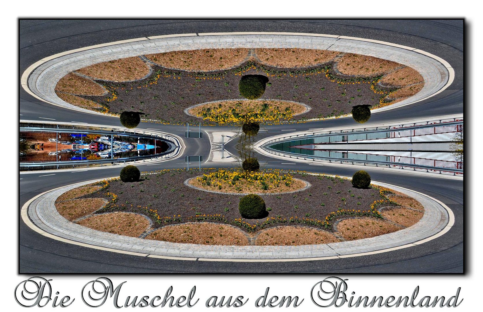 Eine Muschel aus dem Binnenland