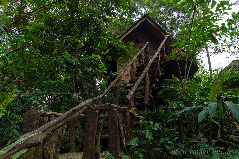 Eine Nacht im Khao Sok Nationalpark