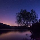 Eine Nacht im Schwarzwald.