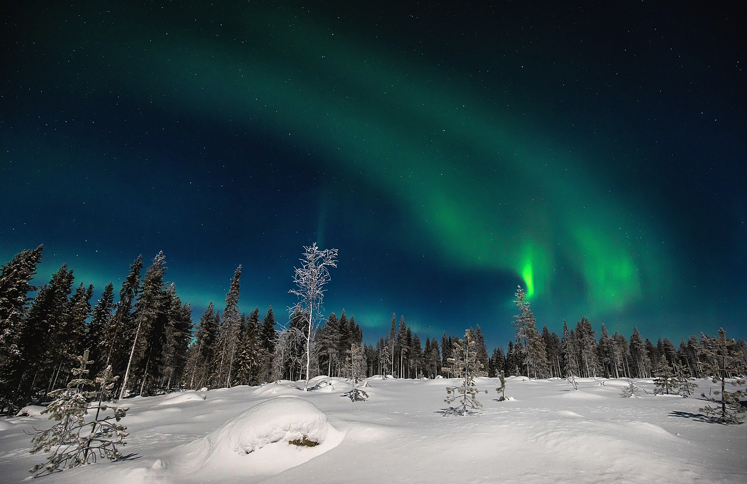 Eine Nacht in Lappland