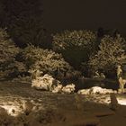 Eine Nacht Winter - bei Sonnenaufgang war alles geschmolzen