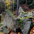 Eine natürliche Mauer - ein besonderes Gestein?