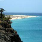 Eine natürliche Schönheit - Fuerteventura