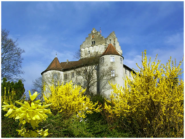 Eine naturgestilte Alte Burg in Meersburg