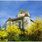 Eine naturgestilte Alte Burg in Meersburg