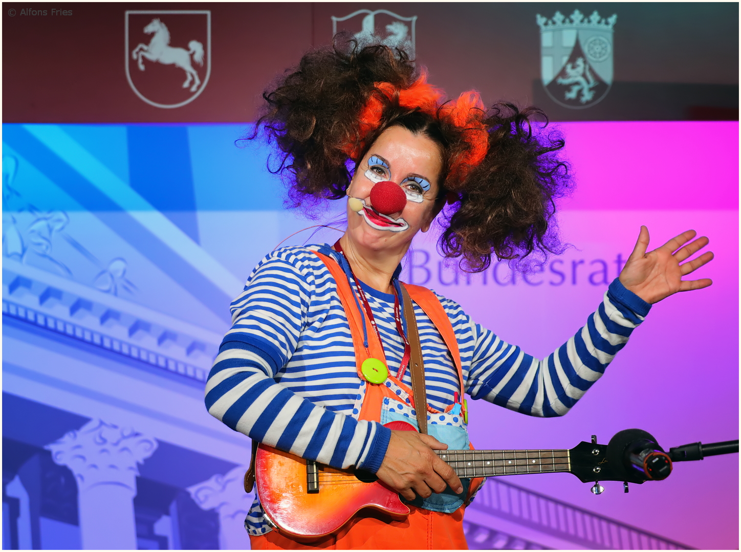 Eine nette Clownerie im "Bundesrat", ...