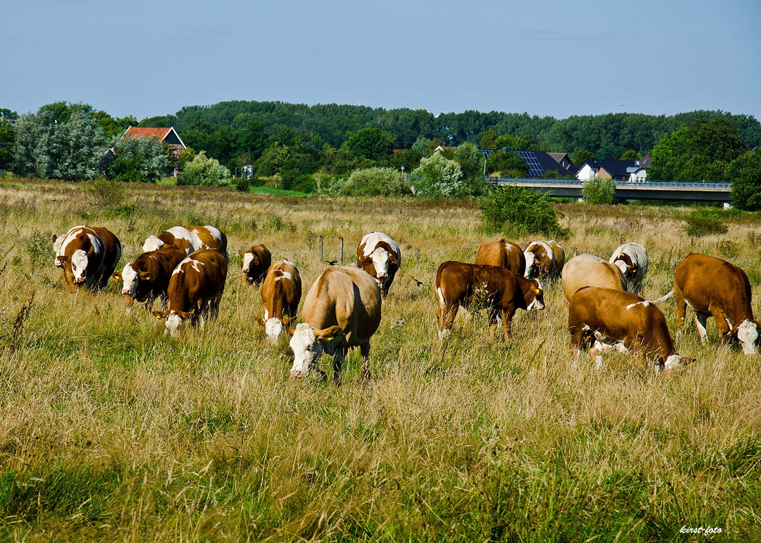 Eine-noch-heile-Bauernlandschaft-in-Bünninghausen-bei-Hamm