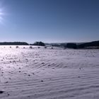 Eine norddeutsche Winterlandschaft im Wiehengebirge