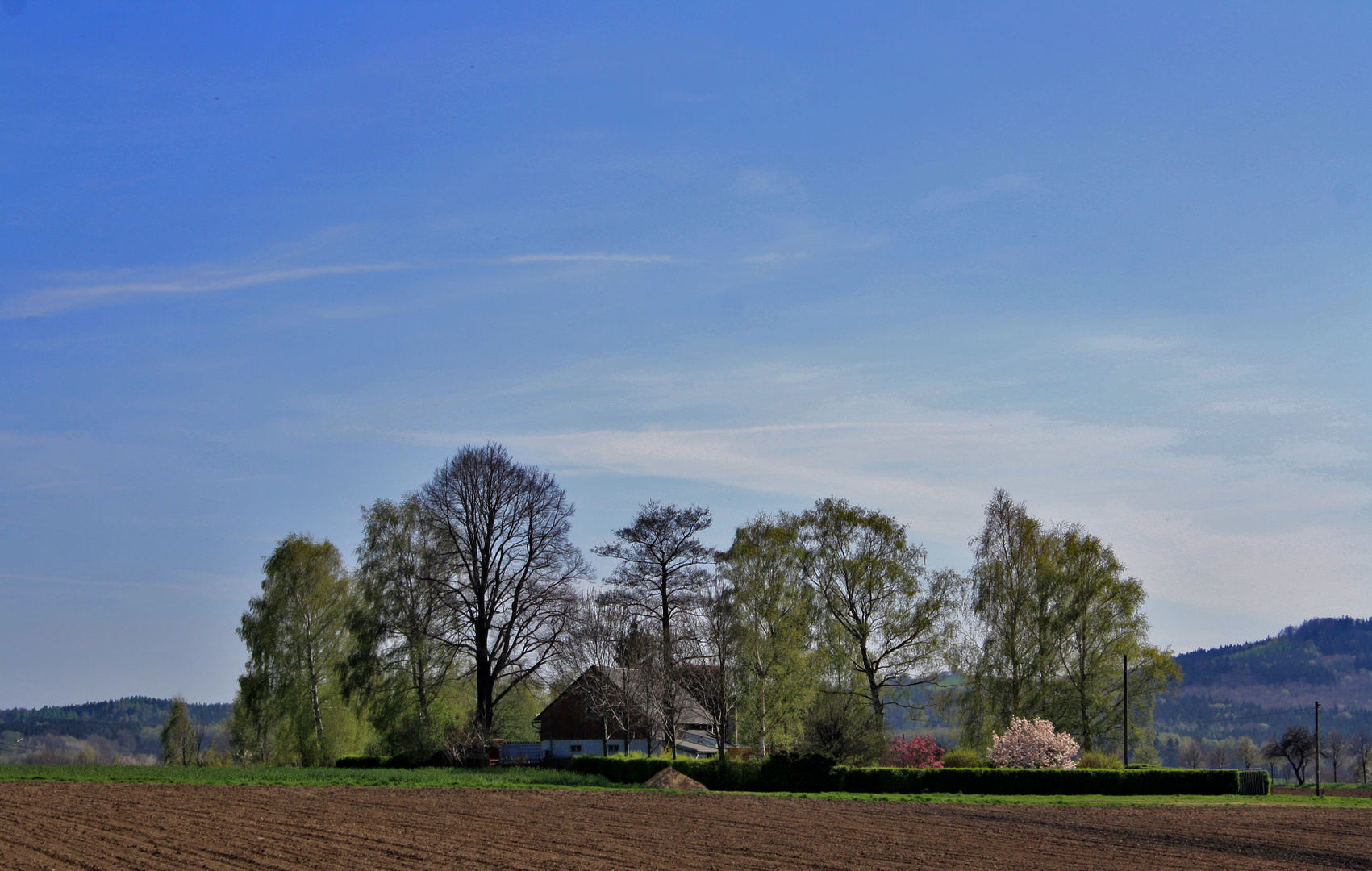 eine oase auf dem feld