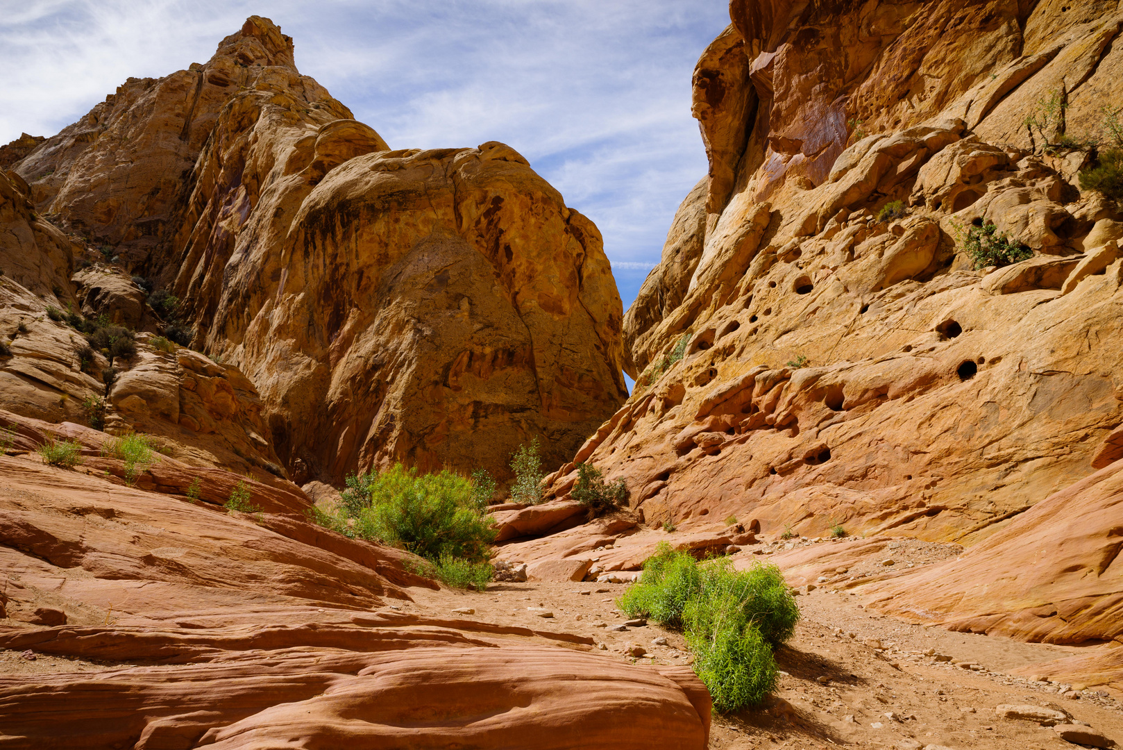 Eine Oase im Slot-Canyon