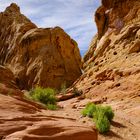 Eine Oase im Slot-Canyon