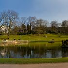 Eine Oase in der Großstadt -Panorama-