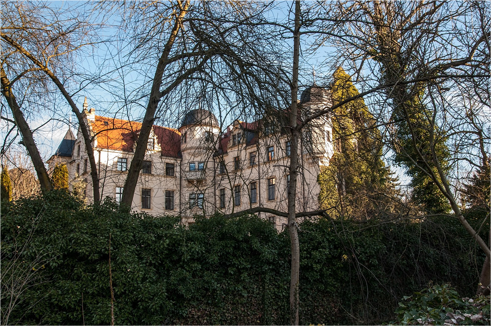 Eine Oase in Sachsen-Anhalt?