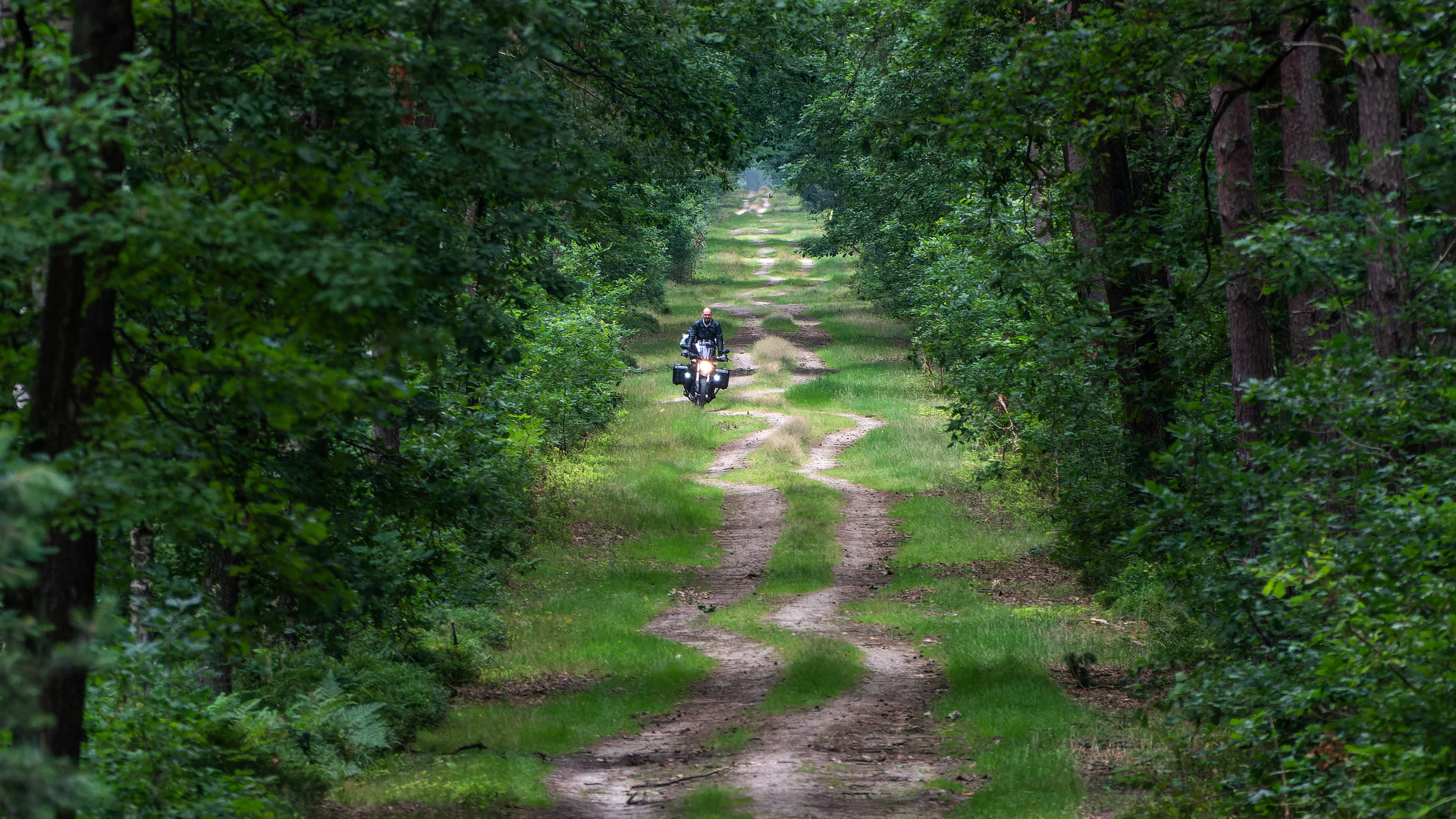 Eine öffentliche Straße in Brandenburg