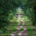 Eine öffentliche Straße in Brandenburg