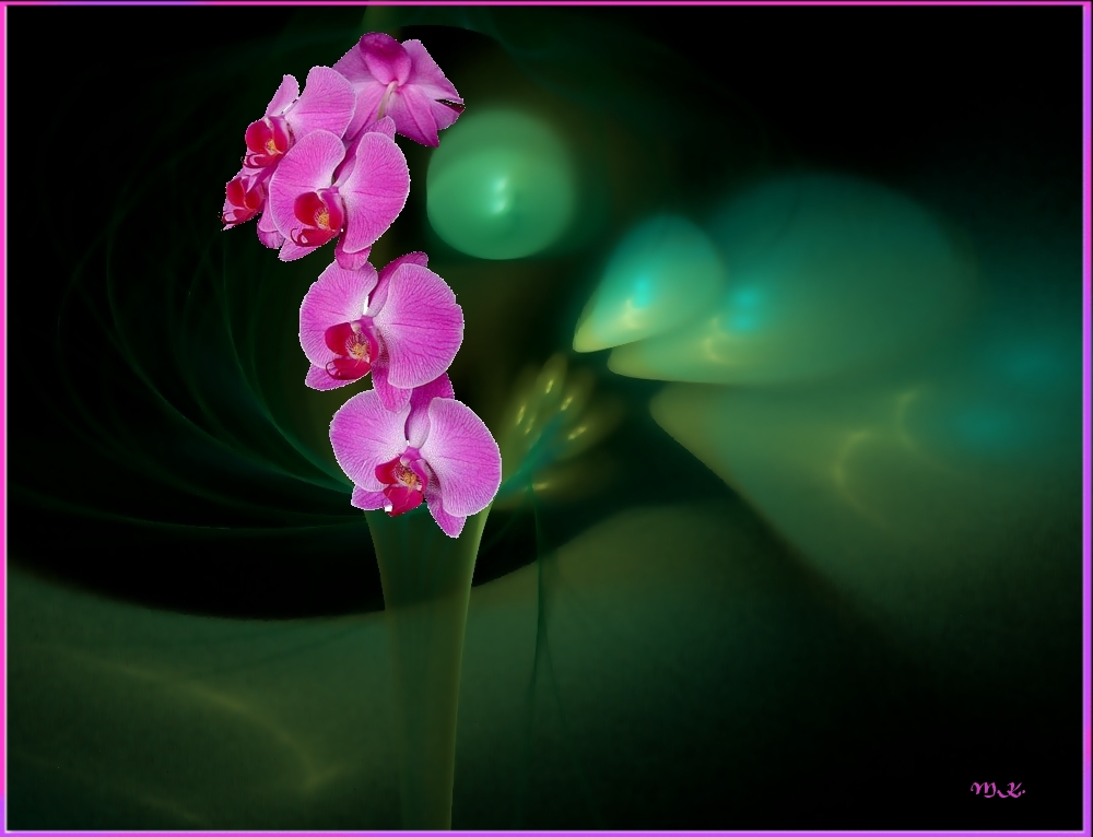 Eine Orchidee.....
