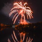 Eine Palme am Neckar