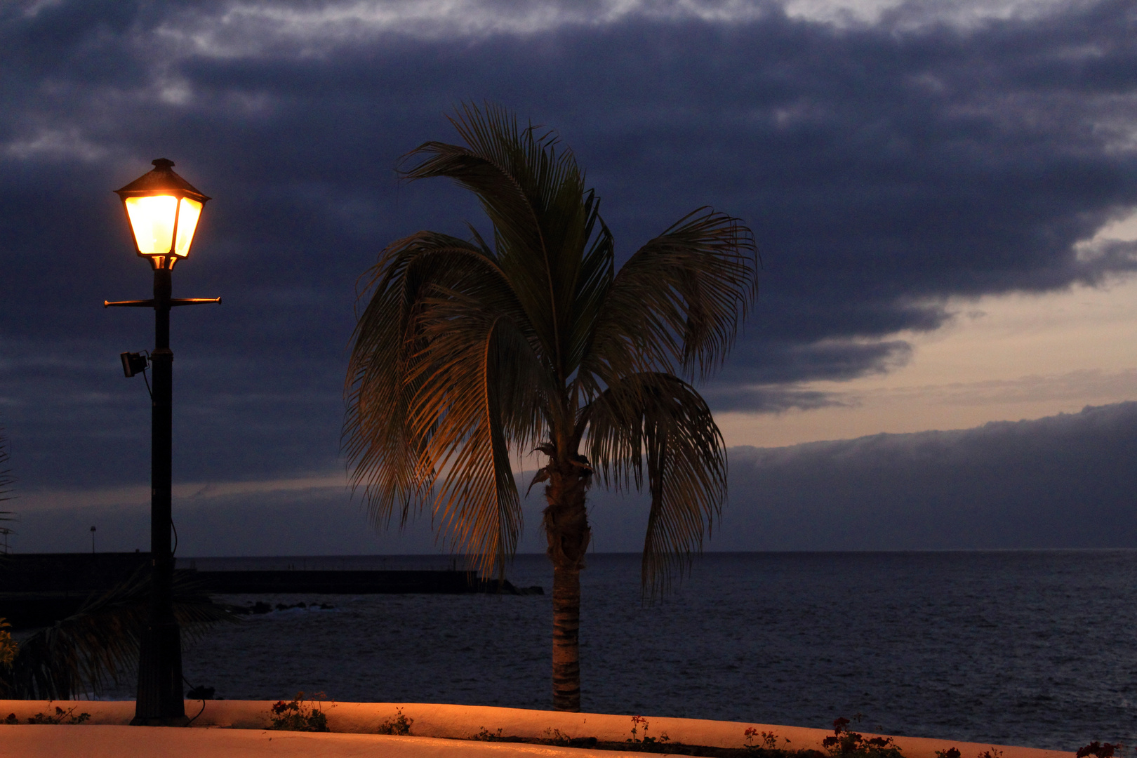 Eine Palme, Laterne und das weite Meer