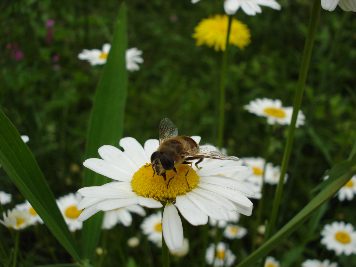 Eine Pause