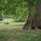 Eine Pause im Park