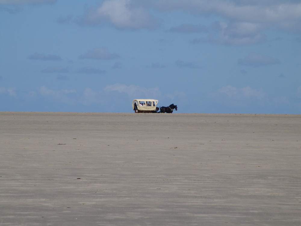 Eine Pferdekutsche am Strand von Borkum 2009