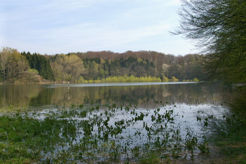 Eine Polje im Südharz