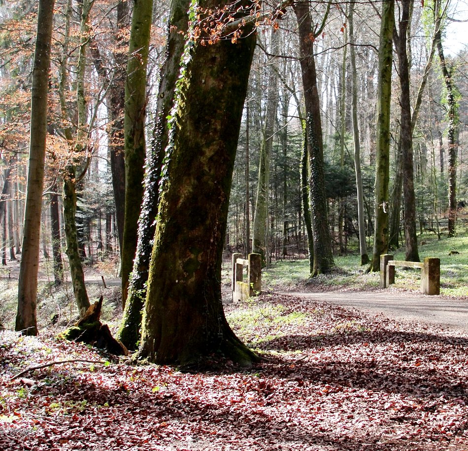 "Eine Prise Frühling"