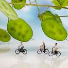 Eine Radtour...