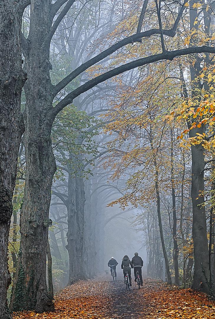 Eine Radtour im Herbst