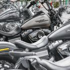 Eine Reihe voller Harley Davidson