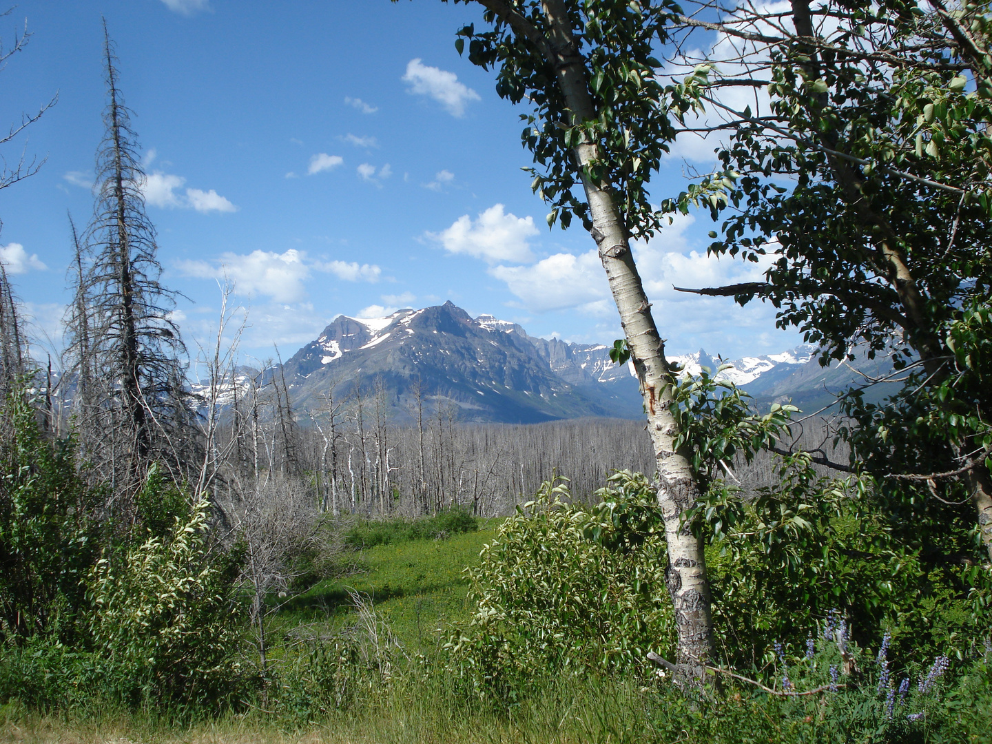 Eine Reise durch Montana