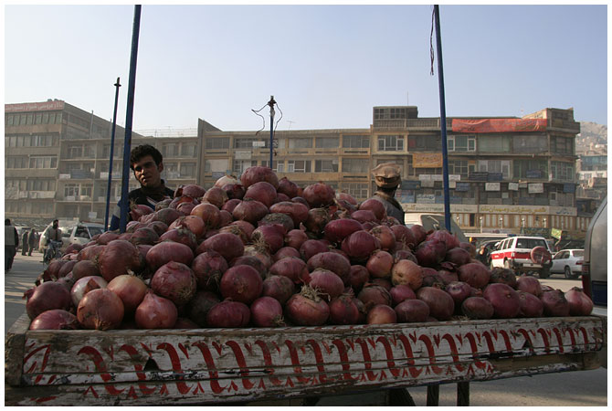 eine reise nach afghanistan (6)