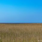 Eine Reise rund um den Ringkøbing Fjord 2 